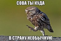 сова ты куда в страну необычную