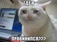 где я провинился???