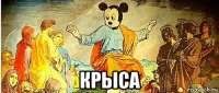  крыса
