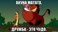 акуна матата. дружба - это чудо.