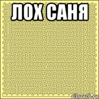 лох саня 