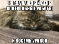 когда каждый день контрольные работы и восемь уроков