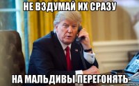 не вздумай их сразу на мальдивы перегонять