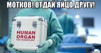 мотков! отдай яйцо другу! 