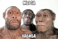мы за хабиба