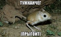 тужканчег [прыгоит]