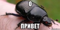 о привет