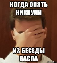 когда опять кикнули из беседы васпа