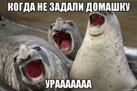 когда не задали домашку урааааааа