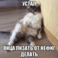 устал яйца лизать от нефиг делать