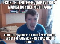 если ты хейтер, в дырку твоей мамы войдёт моя палка если ты дудосер, из твоей черепушки будет торчать мой нож с надписью 'dudos'