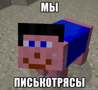 мы писькотрясы