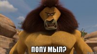  попу мыл?