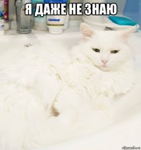я даже не знаю 