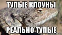 тупые клоуны реально тупые