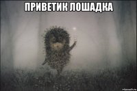 приветик лошадка 