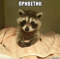 приветик 