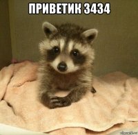 приветик 3434 