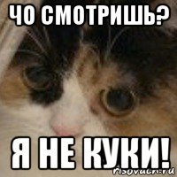 чо смотришь? я не куки!