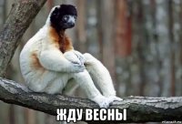  жду весны