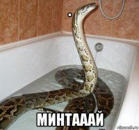 . минтааай