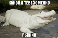 какой я тебе хоменко рыжий