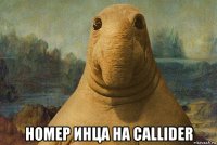  номер инца на callider