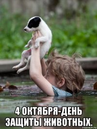  4 октября-день защиты животных.