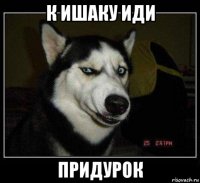 к ишаку иди придурок