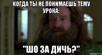 когда ты не понимаешь тему урока: "шо за дичь?"