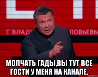  молчать гады,вы тут все гости у меня на канале.