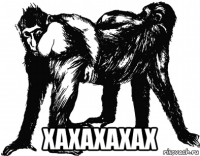  хахахахах