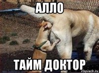 алло тайм доктор