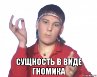  сущность в виде гномика