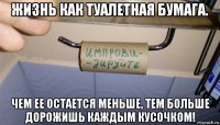жизнь как туалетная бумага. чем ее остается меньше, тем больше дорожишь каждым кусочком!