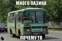 много пазика почему то