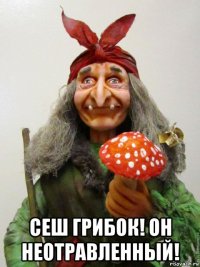  сеш грибок! он неотравленный!
