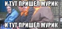 и тут пришёл мурик и тут пришёл мурик