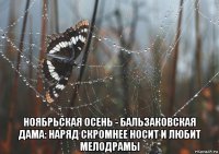  ноябрьская осень - бальзаковская дама: наряд скромнее носит и любит мелодрамы