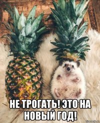  не трогать! это на новый год!