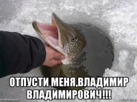  отпусти меня,владимир владимирович!!!