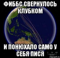 фиббс свернулось клубком и понюхало само у себя пися