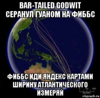 bar-tailed godwit серанул гуаном на фиббс фиббс иди яндекс картами ширину атлантического измеряй