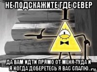 не подскажите где север да вам идти прямо от меня туда и я когда доберетесь я вас спалю