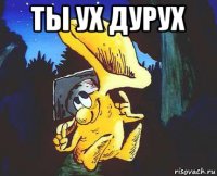 ты ух дурух 