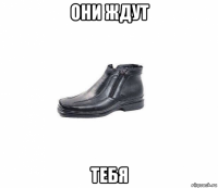 они ждут тебя
