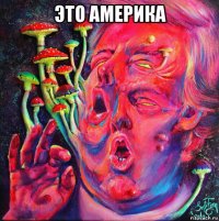 это америка 