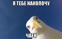 я тебе наколочу чаек