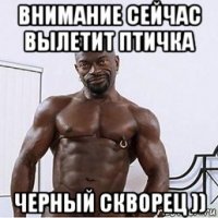внимание сейчас вылетит птичка черный скворец ))