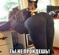  ты не пройдешь!